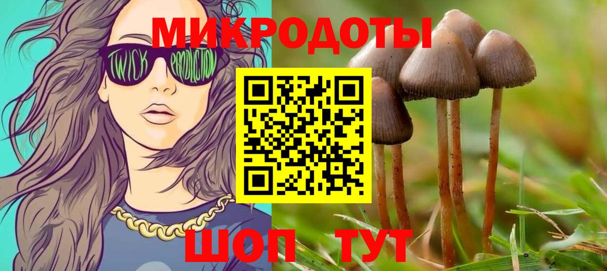 Псилоцибиновые грибы GOLDEN TEACHER Норильск