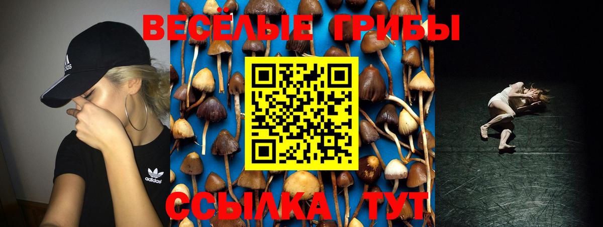 Галлюциногенные грибы Psilocybe  Галлюциногенные грибы Magic Shrooms  Вход с VPN  Норильск 